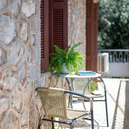 Chrysanthi * Kardhamili